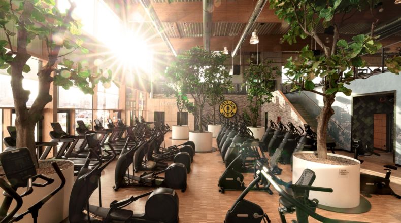 Evolution Architect: Gold's Gym CEO Shares Secrets to Success
